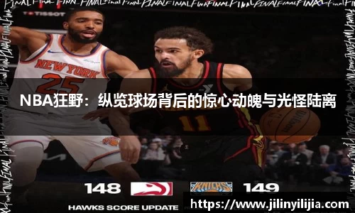 NBA狂野：纵览球场背后的惊心动魄与光怪陆离